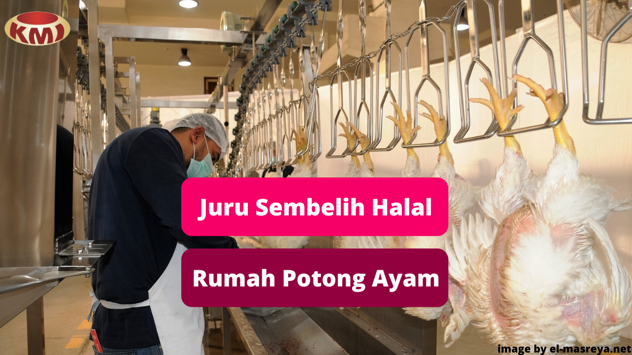 Berikut Ini Peran Juru Sembelih Halal di Rumah Potong Ayam (RPA)